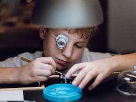 Летний языковой лагерь Saint-Charles