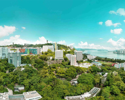 Китайский университет Гонконга