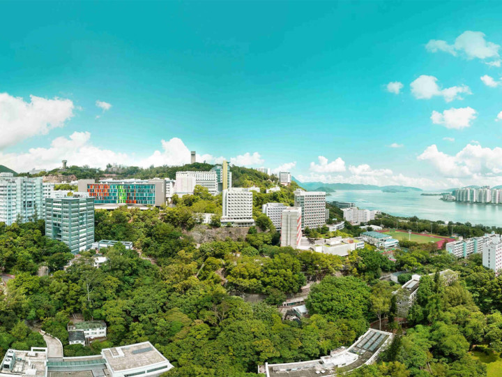 Китайский университет Гонконга