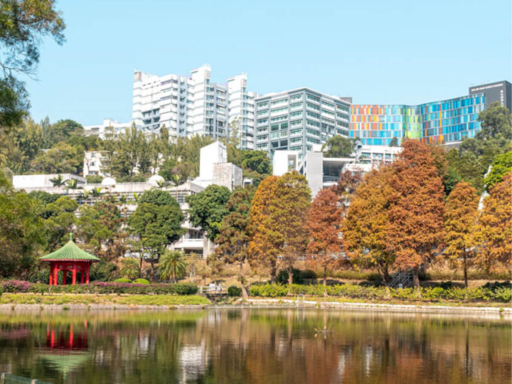 Китайский университет Гонконга