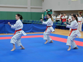 Китайский университет Гонконга