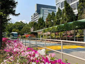 Китайский университет Гонконга