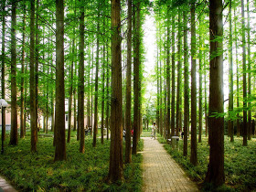 East China University of Science and Technology