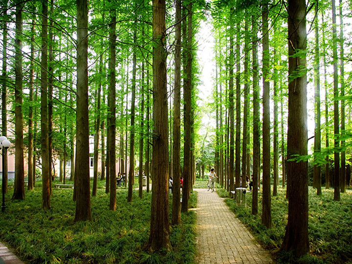 East China University of Science and Technology