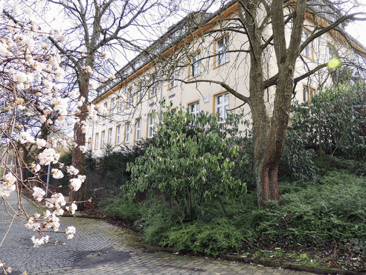 University of Europe for Applied Sciences