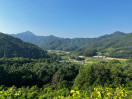 KyungBok  University