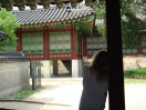 Lexis Korea
