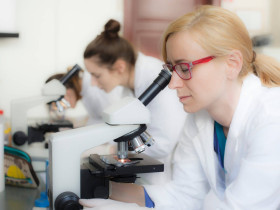 Люблянский университет