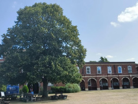 Летний лагерь Royal Russell School