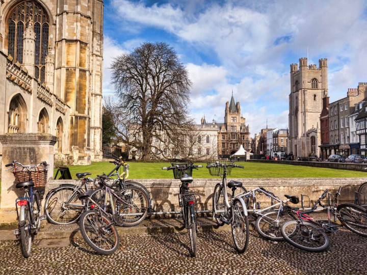 Летний лагерь Cambridge School of Visual & Performing Arts