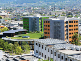 International College of Liberal Arts