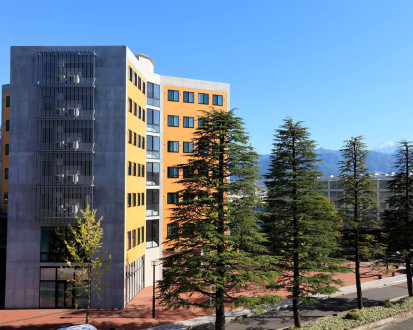 International College of Liberal Arts