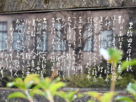 Waseda University