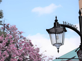 Waseda University