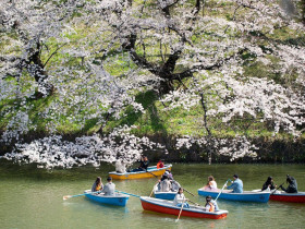 Kudan Institute of Japanese Language and Culture