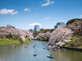 Kudan Institute of Japanese Language and Culture